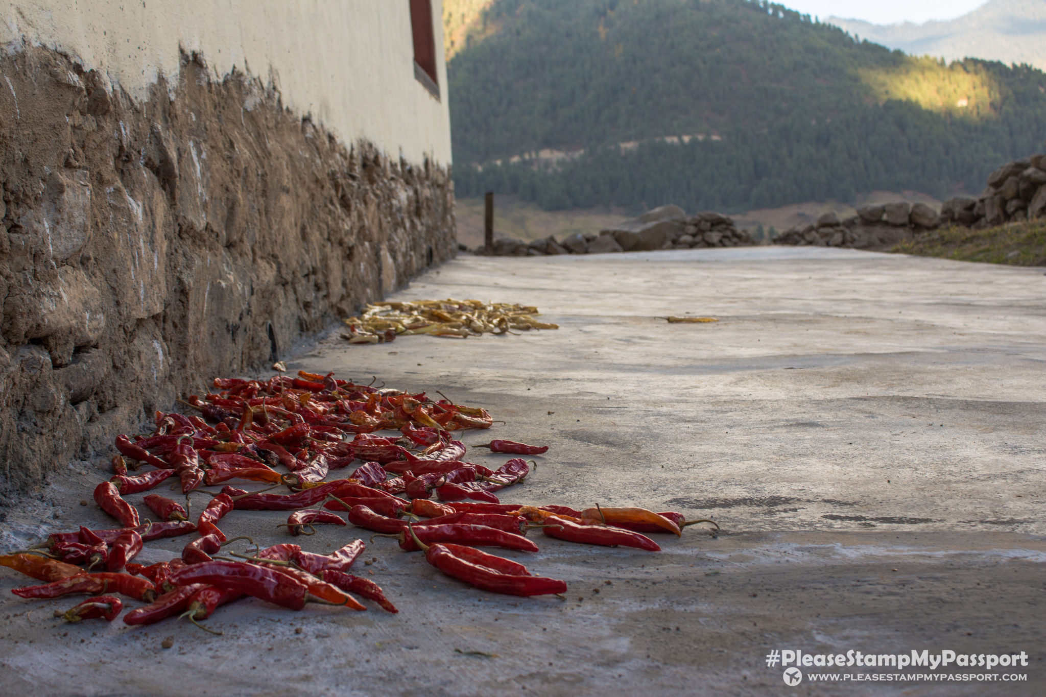 Bhutanese Chili