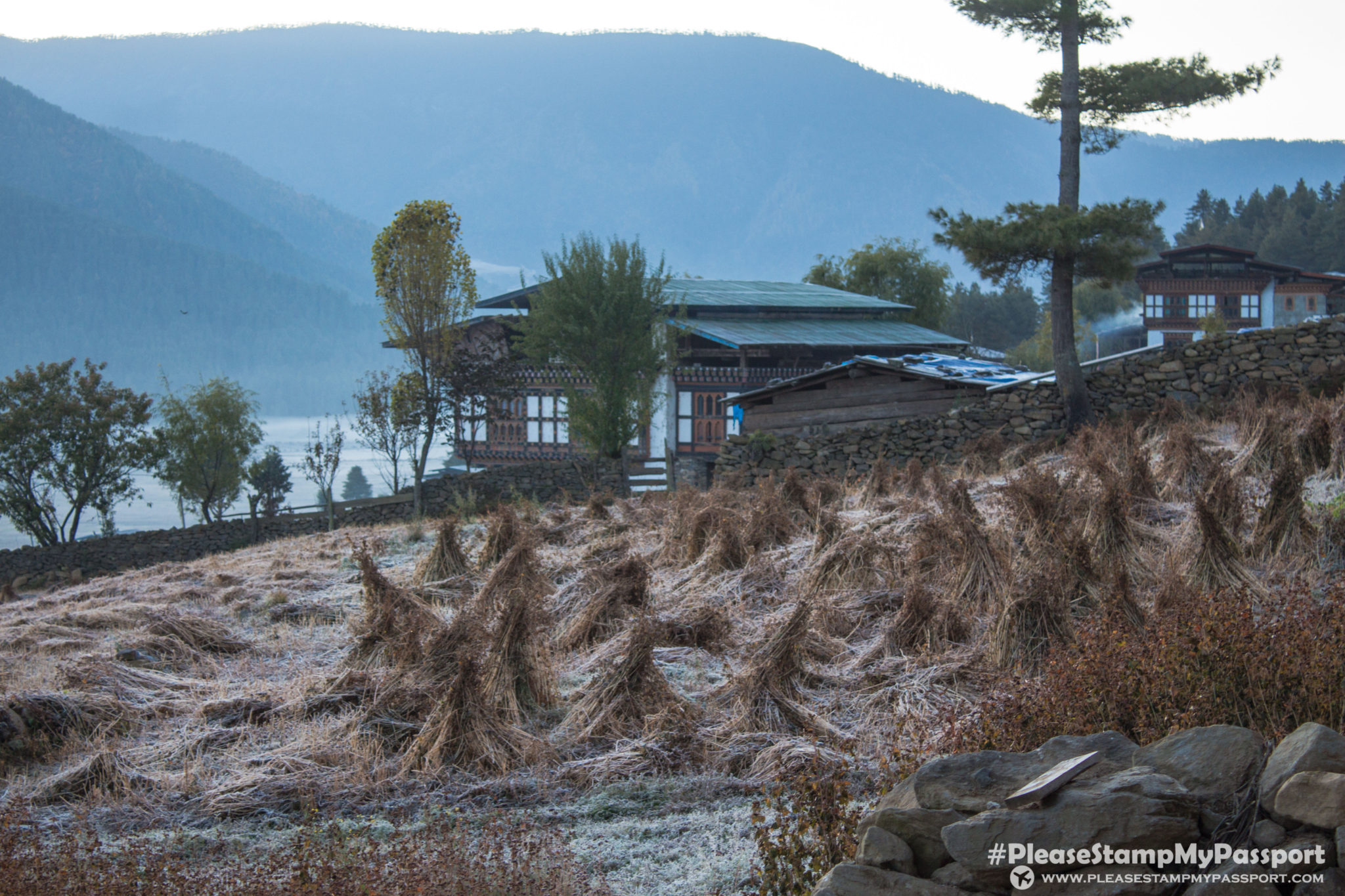 Phobjikha Valley Morning