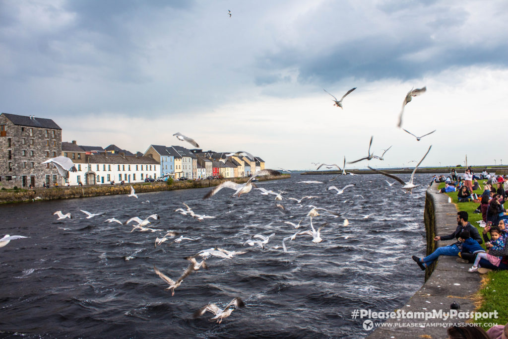 Claddagh