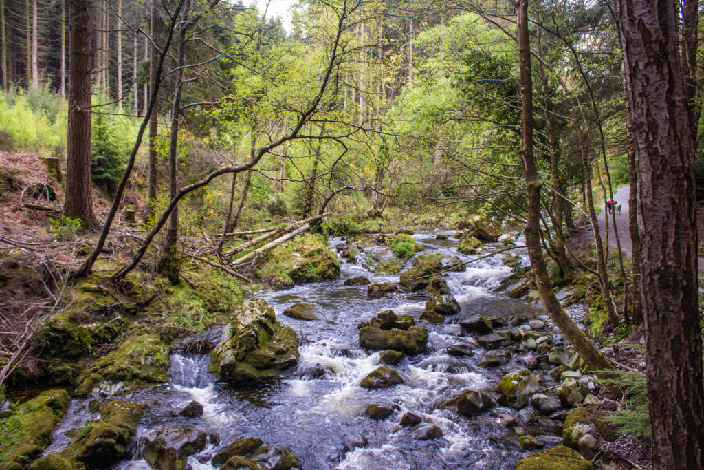 Tollymore Forest Park