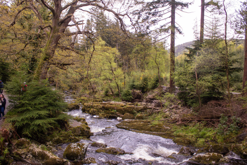 Tollymore Forest Park