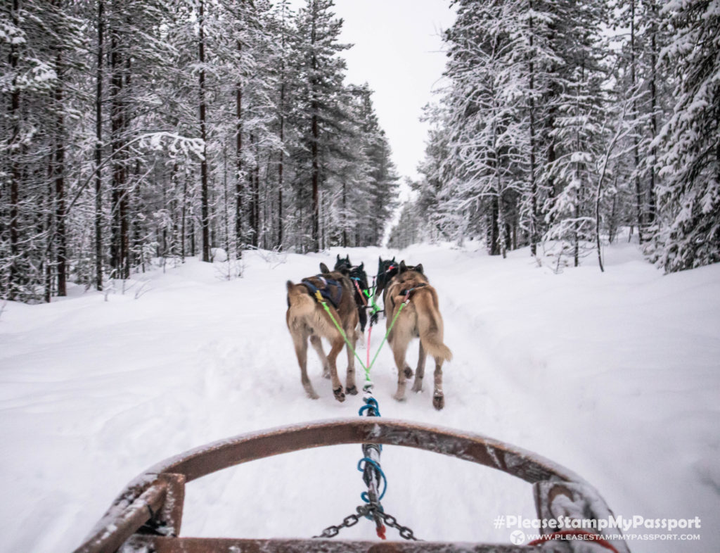 Bearhill Husky Rovaniemi