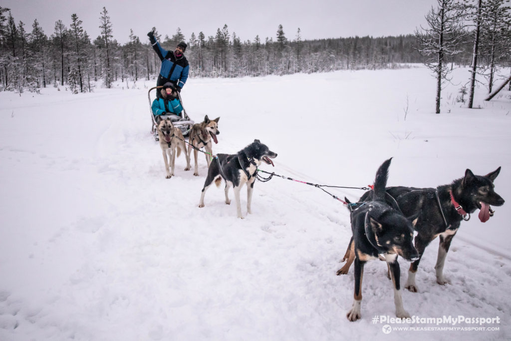 Bearhill Husky Rovaniemi