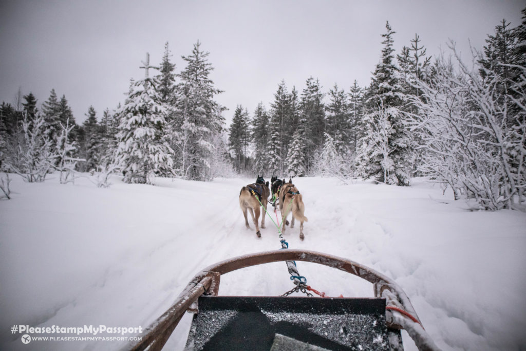 Bearhill Husky Rovaniemi