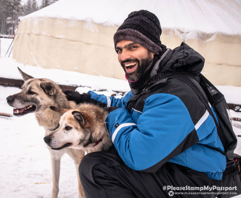 Bearhill Husky