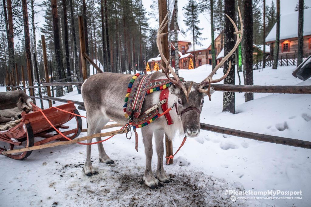 Reindeer Sleigh